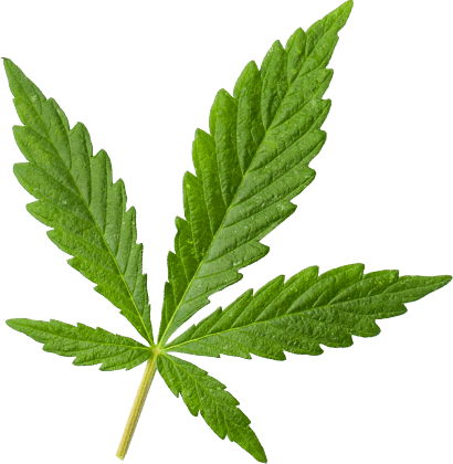 https://greenacresec.com/wp-content/uploads/2018/12/marijuana_leaf_large.png